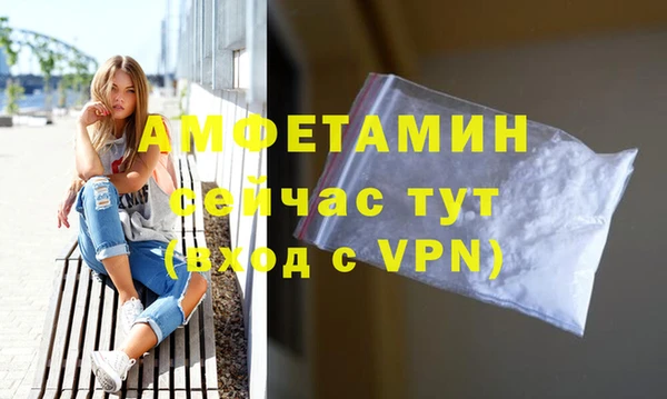 сатива Армянск