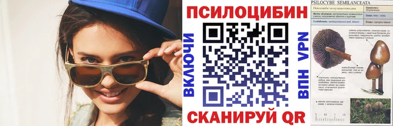 Псилоцибиновые грибы Psilocybine cubensis  ссылка на мегу зеркало  Аркадак 
